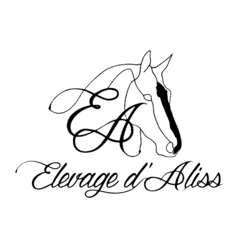 Icon 15