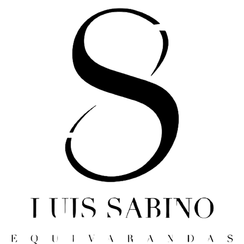 Icon 17