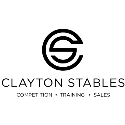 Icon 18
