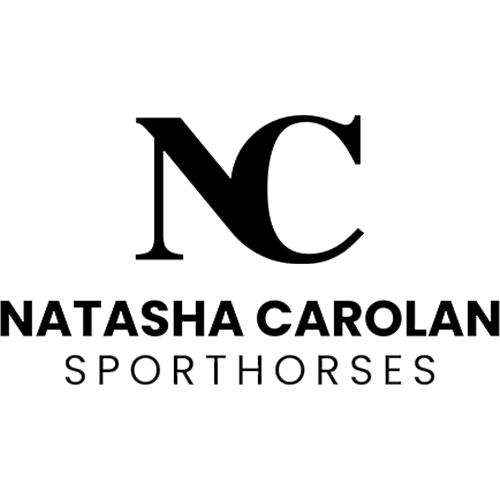Icon 4